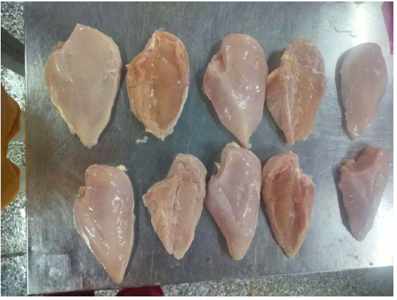 Chicken breast product photo from YCE product specification