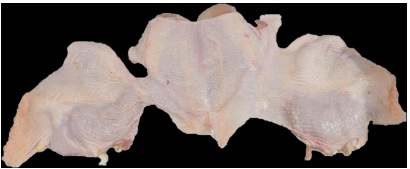 Shawarma whole boneless chicken without wings, product view 1