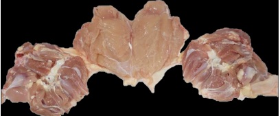 Shawarma product view 2